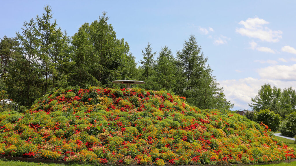 Park mit roten Blumen in Rüschlikon